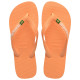 Havaianas Brasil Logo